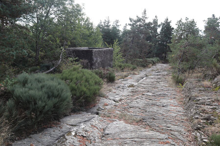 2024_09_06 De La Bastide-Puylaurent à La Garde-Guérin, IMG_7605 Vestiges de la Via Regordana entre le Thort et la Molette