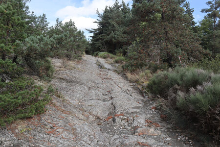 2024_09_06 De La Bastide-Puylaurent à La Garde-Guérin, IMG_7606 Vestiges de la Via Regordana entre le Thort et la Molette