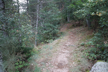 2024_09_06 De La Bastide-Puylaurent à La Garde-Guérin, IMG_7662 La combe du ravin de la Baume Rouge