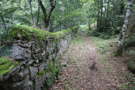 2024_09_06 De La Bastide-Puylaurent à La Garde-Guérin, IMG_7669 Le sentier le long du Chassezac