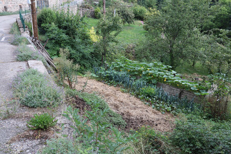 2024_09_06 De La Bastide-Puylaurent à La Garde-Guérin, IMG_7675 Potager à Albespeyres, accessible par une échelle à gauche de l’image