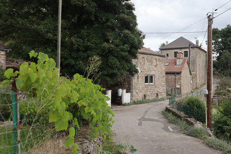 2024_09_06 De La Bastide-Puylaurent à La Garde-Guérin, IMG_7676 Albespeyres