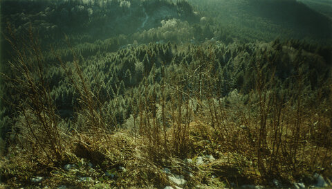 paysages (licence creative commons 4.0 : by-sa), puy de dôme - un sentier - auvergne - 1999 - 08